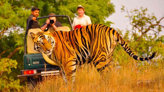 11 DAYS RAJASTHAN TOUR