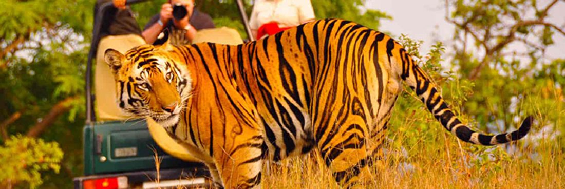 11 DAYS RAJASTHAN TOUR