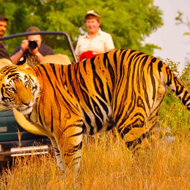 11 DAYS RAJASTHAN TOUR
