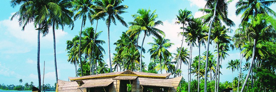 7 DAYS KERALA LESIUR TOUR